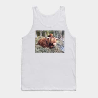 Scottish Highland Cattle Cow 2301 Tank Top